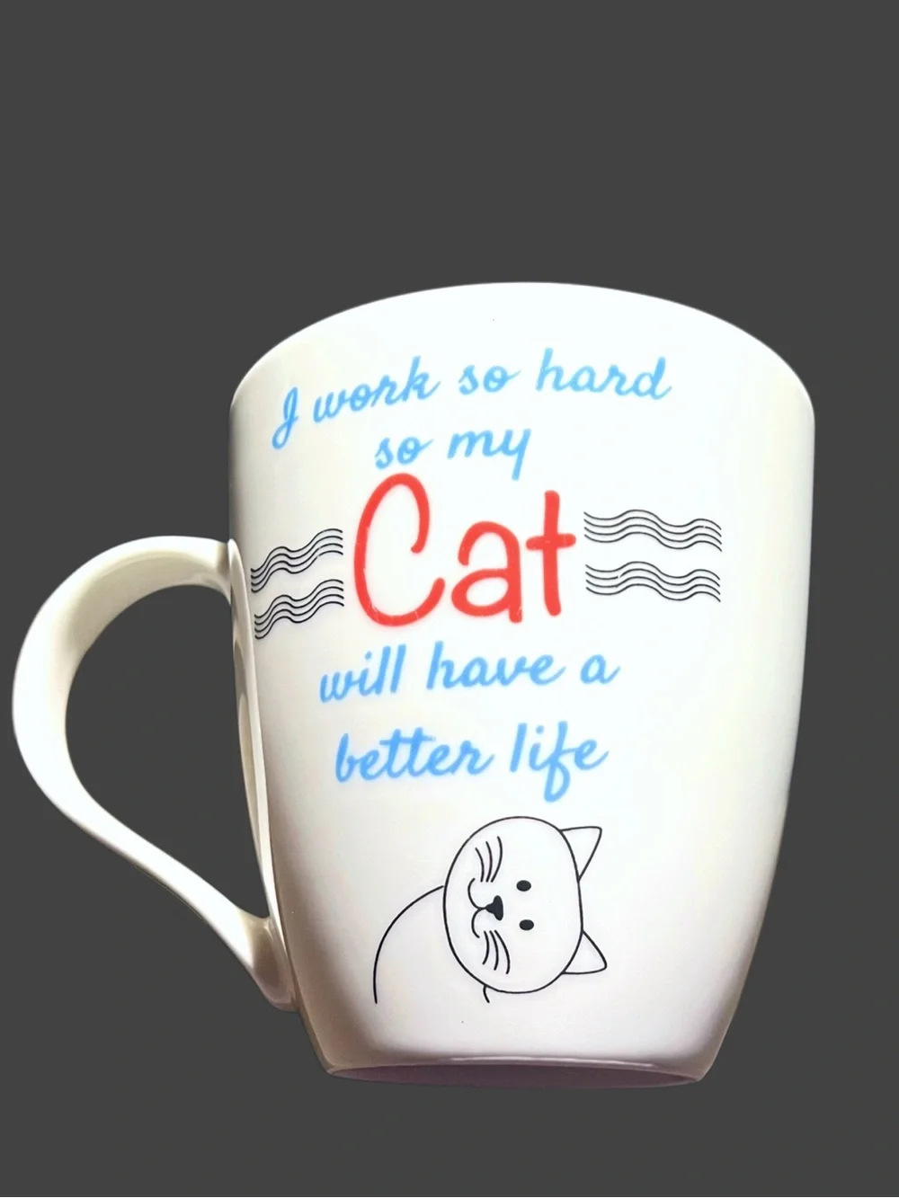 Cat Lover Novelty 16oz Gift Mug ‘I Work So Hard’